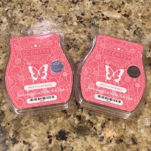 2 Black Currant Bubbly Scentsy Bars